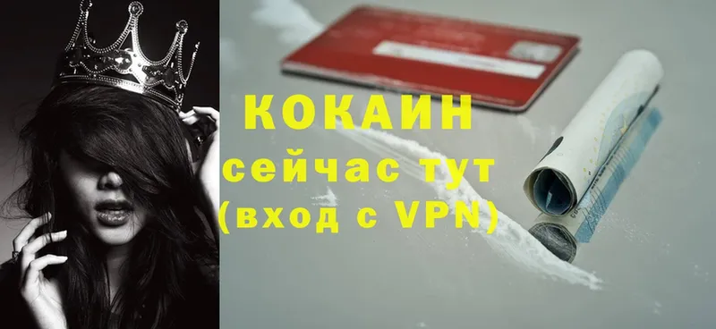 Кокаин VHQ  блэк спрут вход  Елизово 