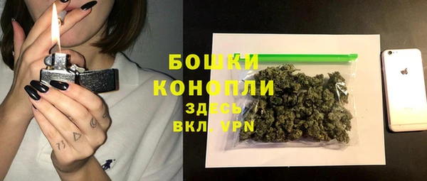 прущая мука Вяземский
