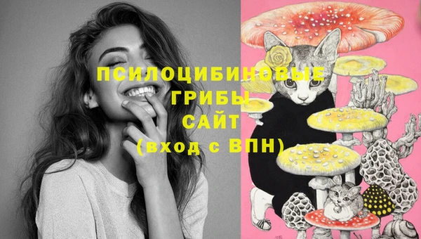 мет Вязники