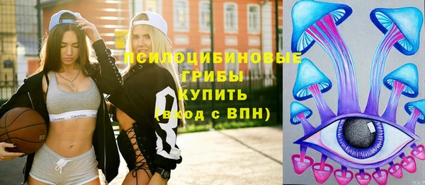 a pvp Краснослободск