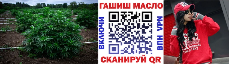 цены наркотик  Елизово  ТГК концентрат 