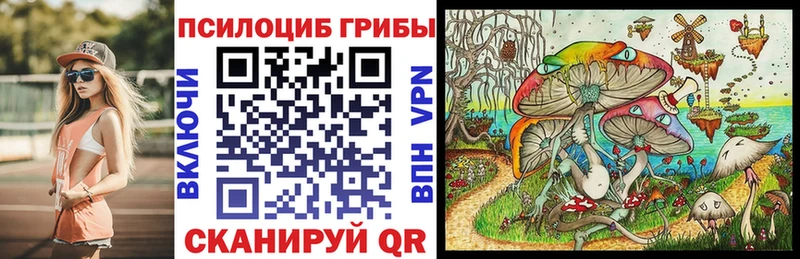 Галлюциногенные грибы мицелий  как найти закладки  Елизово 