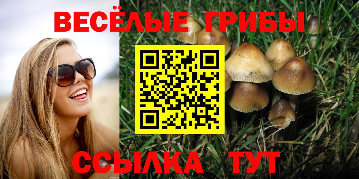 Галлюциногенные грибы Magic Shrooms Елизово