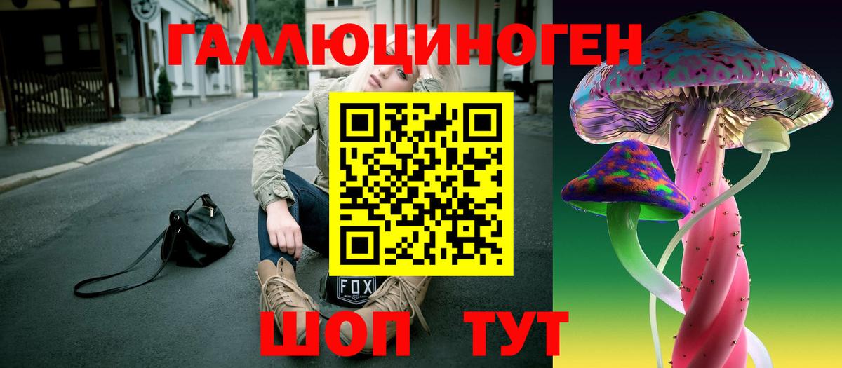 Галлюциногенные грибы Psilocybine cubensis  Елизово 