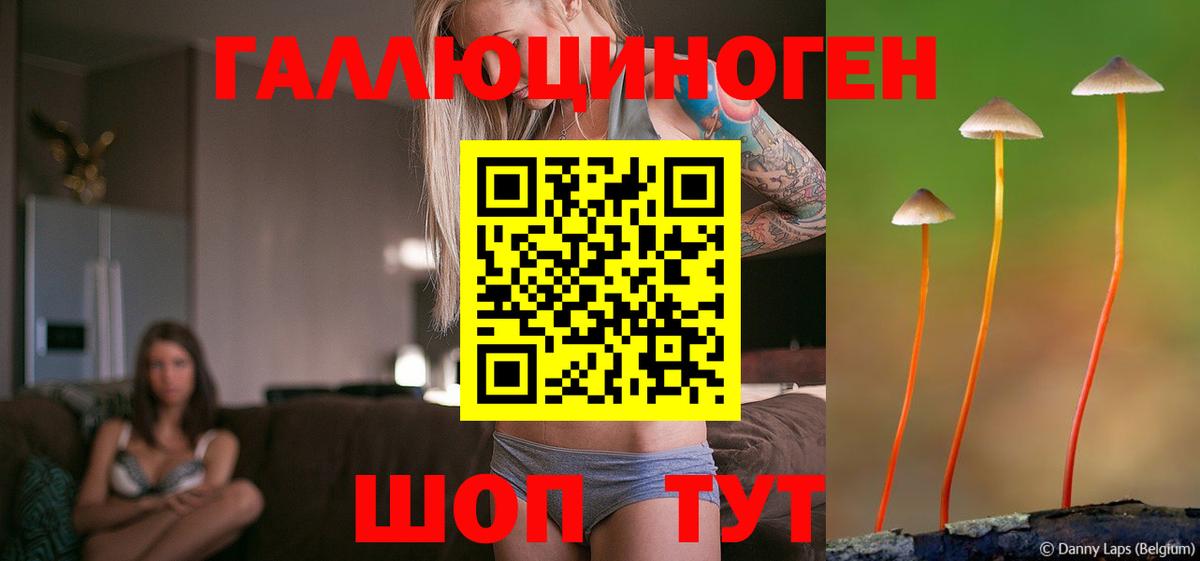 Псилоцибиновые грибы GOLDEN TEACHER Елизово