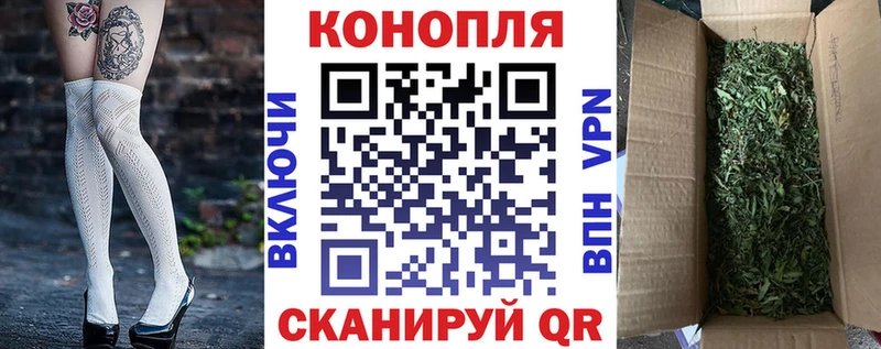 это наркотические препараты  Елизово  Бошки марихуана конопля 